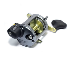 Катушка SHIMANO Tekota 800, фото 3