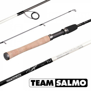 Спиннинг Team Salmo TIOGA 23 6.50, фото 2