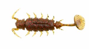 Виброхвосты съедобные искусственные LJ Pro Series ALIEN BUG 2,5in (06,35)/PA03 7шт., фото 3