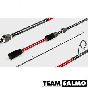 Спиннинг Team Salmo VANTAGE 18 7.20, фото 2