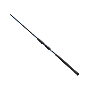 Удилище 13 FISHING Defy S Spinning 9'10 M 10-30g 2pc, фото 1