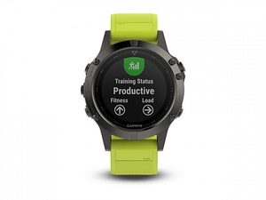 Garmin Fenix 5 серые с желтым ремешком, фото 3