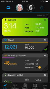 Garmin Vivofit 4 белый стандартного размера, фото 8