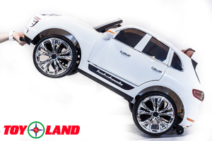 Детский автомобиль Toyland Porsche Macan QLS 8588 Белый, фото 9