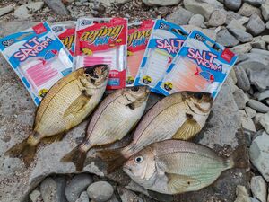 Черви съедоб. искусст. LJ  Salt Water AYING TAIL 2.0in (05,00)/309 12шт., фото 3