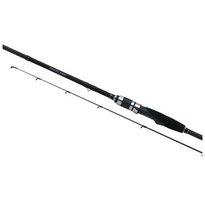 Удилище спиннинговое Shimano DIAFLASH BX SPINNING LIGHT 8'0" ML, фото 1