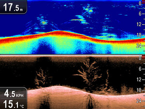 Raymarine Dragonfly-4 DVS, фото 5