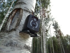 GSM фотоловушка KUBIK зеленый (2G, Bluetooth), фото 9