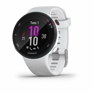 Часы для бега с GPS Garmin Forerunner 45S Белый, фото 1