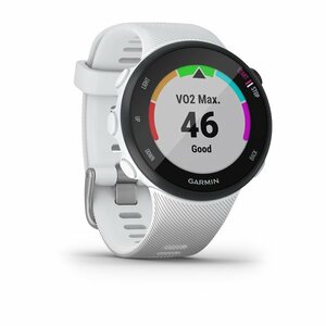 Часы для бега с GPS Garmin Forerunner 45S Белый, фото 3