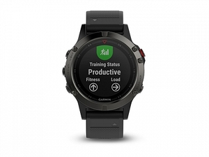 Garmin Fenix 5 серые с черным ремешком, фото 3