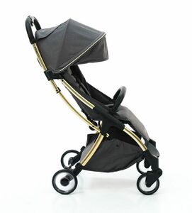 Коляска прогулочная RYAN PRIME Light Auto Rich Gray GOLD Special Edition, фото 2