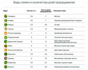Автоматический проращиватель семян Добросад DS01 green "Стройность", фото 9