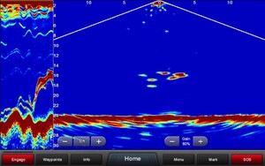 Garmin Panoptix PS31 трансдьюсер переднего обзора, фото 3