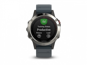 Garmin Fenix 5 серебристые с синим ремешком, фото 3