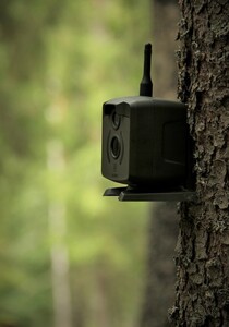 GSM фотоловушка KUBIK зеленый (2G, Bluetooth), фото 6