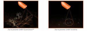 Raymarine Dragonfly-4 DVS, фото 7