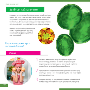 Книга знаний в 2 томах. «Космос. Микромир», фото 10