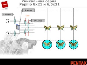 Бинокль с макро PENTAX PAPILIO II 8.5x21, фото 8