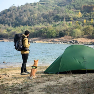 Палатка 2-местная Naturehike Сloud Up 2 Ultra-Light с ковриком, горчично-зелёный, фото 4