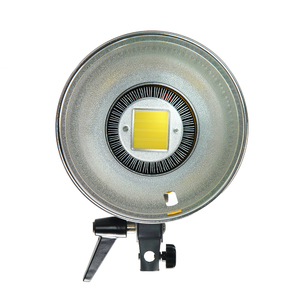 Осветитель светодиодный GreenBean SunLight 100 LED BW, фото 3