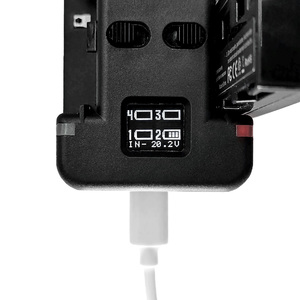 Зарядное устройство GreenBean QuadCharger NPF, фото 9
