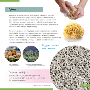 Книга знаний в 2 томах. «Космос. Микромир», фото 13