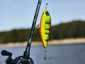Воблер тонущий LJ BBS Original ARROW JERK S 015.00/032, фото 6