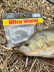 Слаги съедобные искусственные LJ Pro Series TRICK ULTRAWORM 1,4in (03.50)/PA03 12шт., фото 5