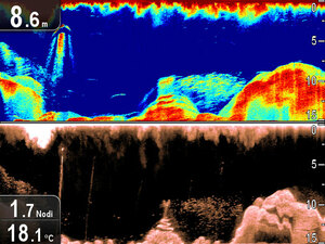 Raymarine Dragonfly-5 DVS, фото 3