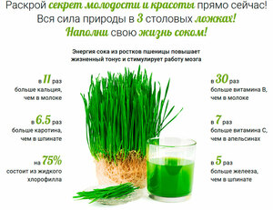 Автоматический проращиватель семян Добросад DS01 green "Стройность", фото 5