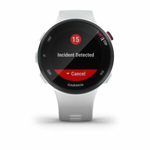 Часы для бега с GPS Garmin Forerunner 45S Белый, фото 2