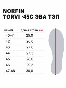 Сапоги муж. с манж. и ткан. утеп. TORVI -60С ЭВА  камыш р.42, фото 2