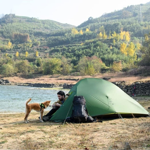 Палатка 2-местная Naturehike Сloud Up 2 Ultra-Light с ковриком, горчично-зелёный, фото 5