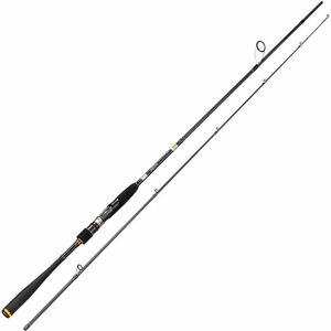 Удилище спиннинговое IXORNE SEABASS S802M 10 - 40g RYOBI, фото 1