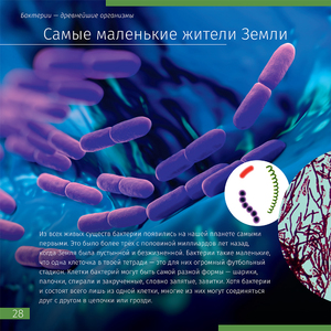 Книга знаний в 2 томах. «Космос. Микромир», фото 11