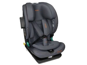 Автокресло CASUAL Goldfix Pro i-Size ISOFIX (VTN35) Anthrachite, фото 1