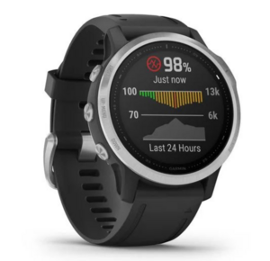 Garmin Fenix 6S серебристый с черным ремешком, фото 2
