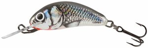 Воблер тонущий Salmo HORNET S 02.5/HGS, фото 2