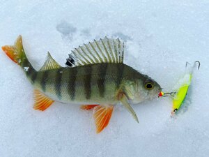 Балансир Lucky John NORDIC 4 40мм/29, фото 6