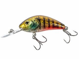 Воблер плавающий Salmo HORNET RATTLIN F 06.5/HG, фото 3