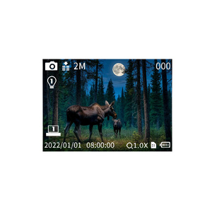 Монокуляр ночного видения Veber DigiView NM-02 цифровой, фото 9
