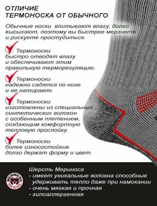 Носки  термо Norfin T4M ARCTIC MERINO HEAVY LONG (серый р.(45-47) XL), фото 8