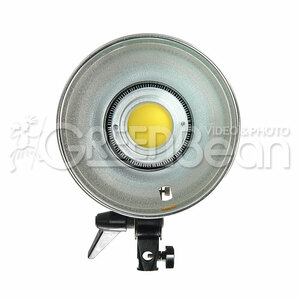 Осветитель светодиодный GreenBean SunLight 200 LED BW, фото 3