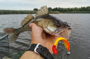Виброхвосты LJ 3D Series RED TAIL SHAD 5.0in (12.50)/PG03 3шт., фото 4