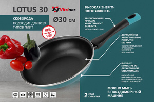 Сковорода Vitrinor Lotus 30, фото 1