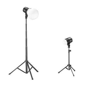 Комплект светодиодных осветителей Godox Litemons LC30D-K2 настольный, фото 2
