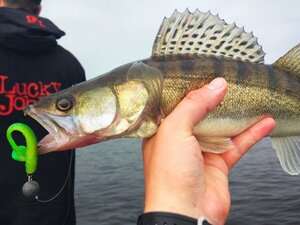 Виброхвосты съедобные LJ Pro Series MINNOW 2.2in (05.60)/T18 10шт., фото 5