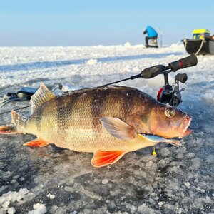 Балансир Lucky John VIKING 4 + тр. 40мм/13H блистер, фото 5