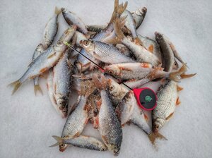 Удочка-балалайка зимняя Salmo HANDY ICE ROD 24см красная, фото 4